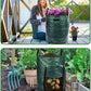 DIY GARDEN BloomIris