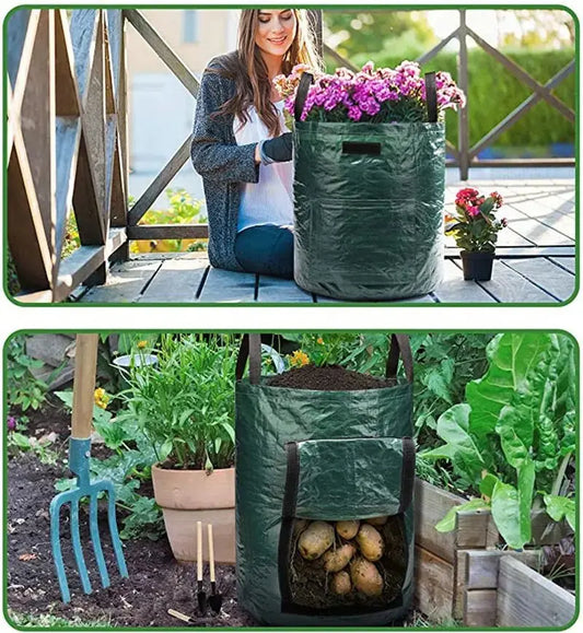 DIY GARDEN BloomIris