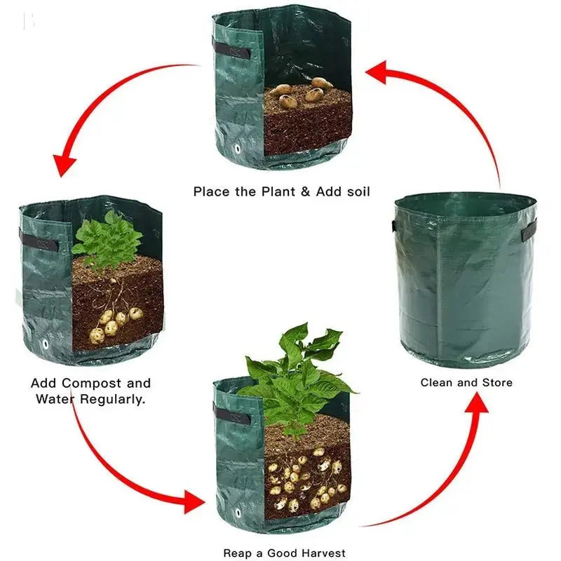 DIY GARDEN BloomIris