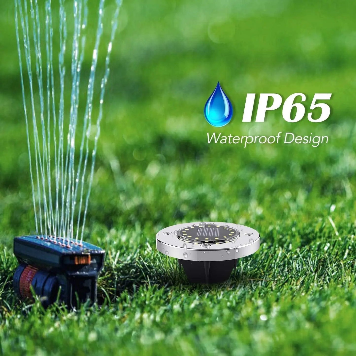 LeviLight-door Garden Light BloomIris