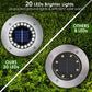 LeviLight-door Garden Light BloomIris