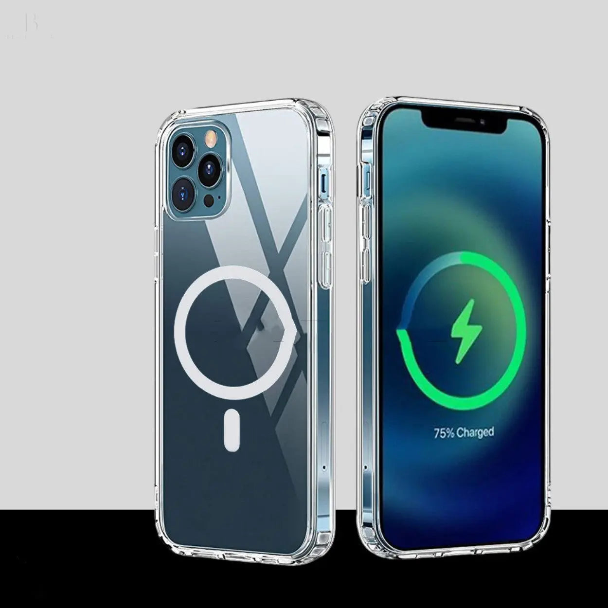 Luxury iPhone Cases clear For Modeles 11-X BloomIris