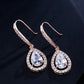 Micro-inlaid AAA Zircon Personality Drop-shaped Ear Hooks BloomIris