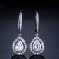 Micro-inlaid AAA Zircon Personality Drop-shaped Ear Hooks BloomIris