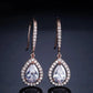 Micro-inlaid AAA Zircon Personality Drop-shaped Ear Hooks BloomIris