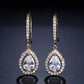 Micro-inlaid AAA Zircon Personality Drop-shaped Ear Hooks BloomIris
