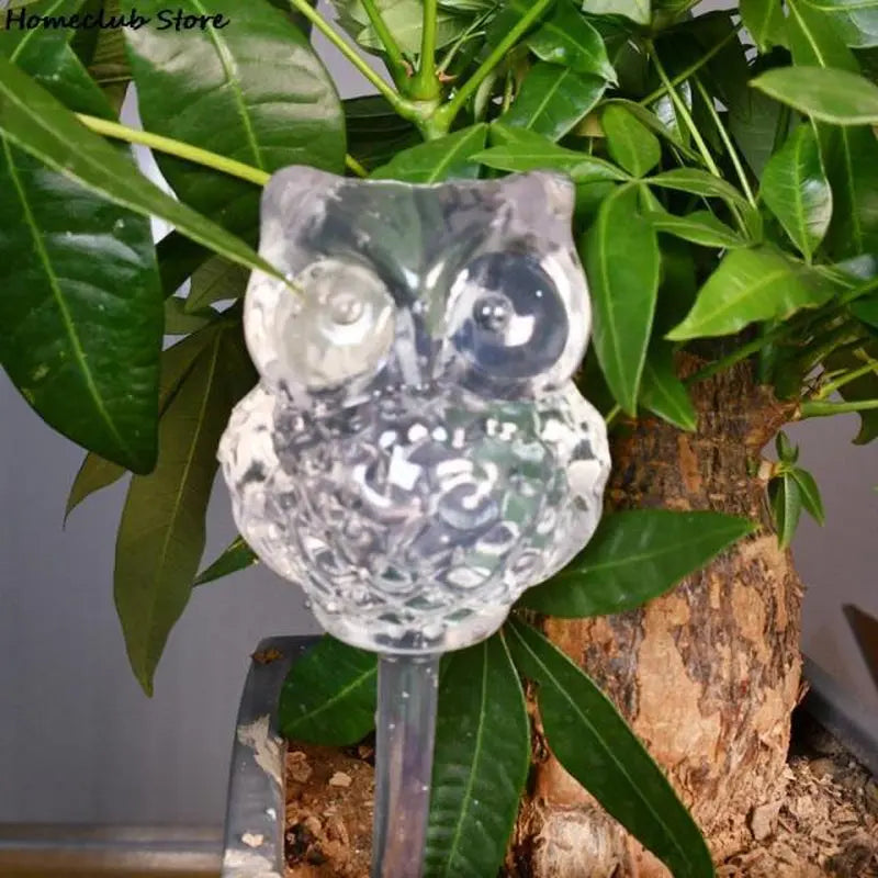 PlantDrip - Self-Watering Plant Globes BloomIris