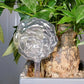 PlantDrip - Self-Watering Plant Globes BloomIris