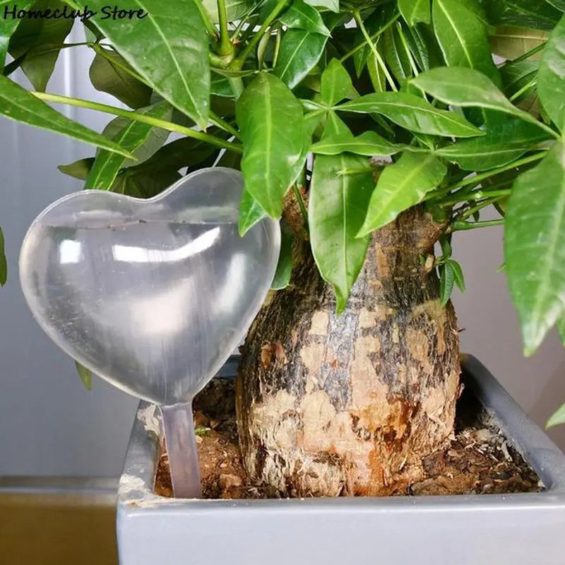 PlantDrip - Self-Watering Plant Globes BloomIris