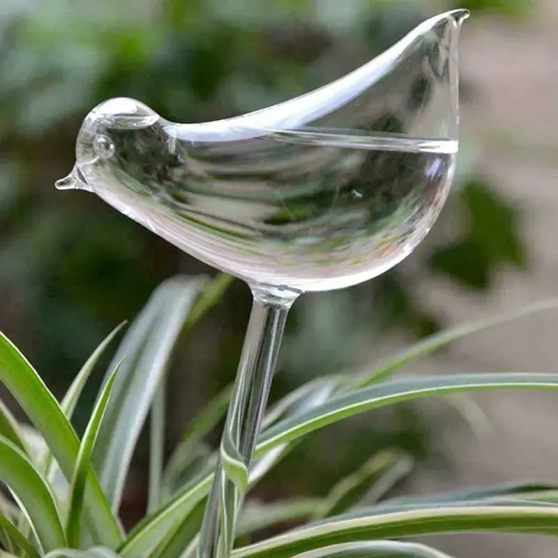 PlantDrip - Self-Watering Plant Globes BloomIris