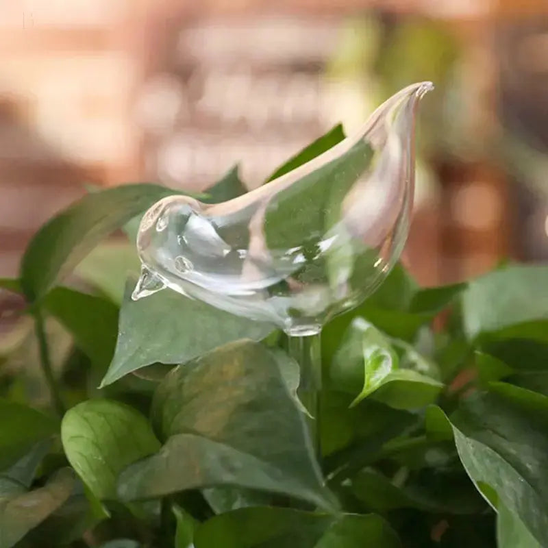 PlantDrip - Self-Watering Plant Globes BloomIris