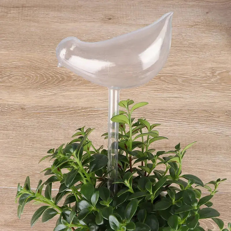 PlantDrip - Self-Watering Plant Globes BloomIris