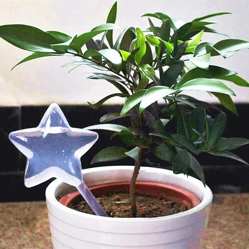 PlantDrip - Self-Watering Plant Globes BloomIris
