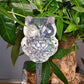 PlantDrip - Self-Watering Plant Globes BloomIris